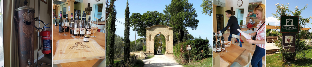 Antonelli San Marco Umbria 4